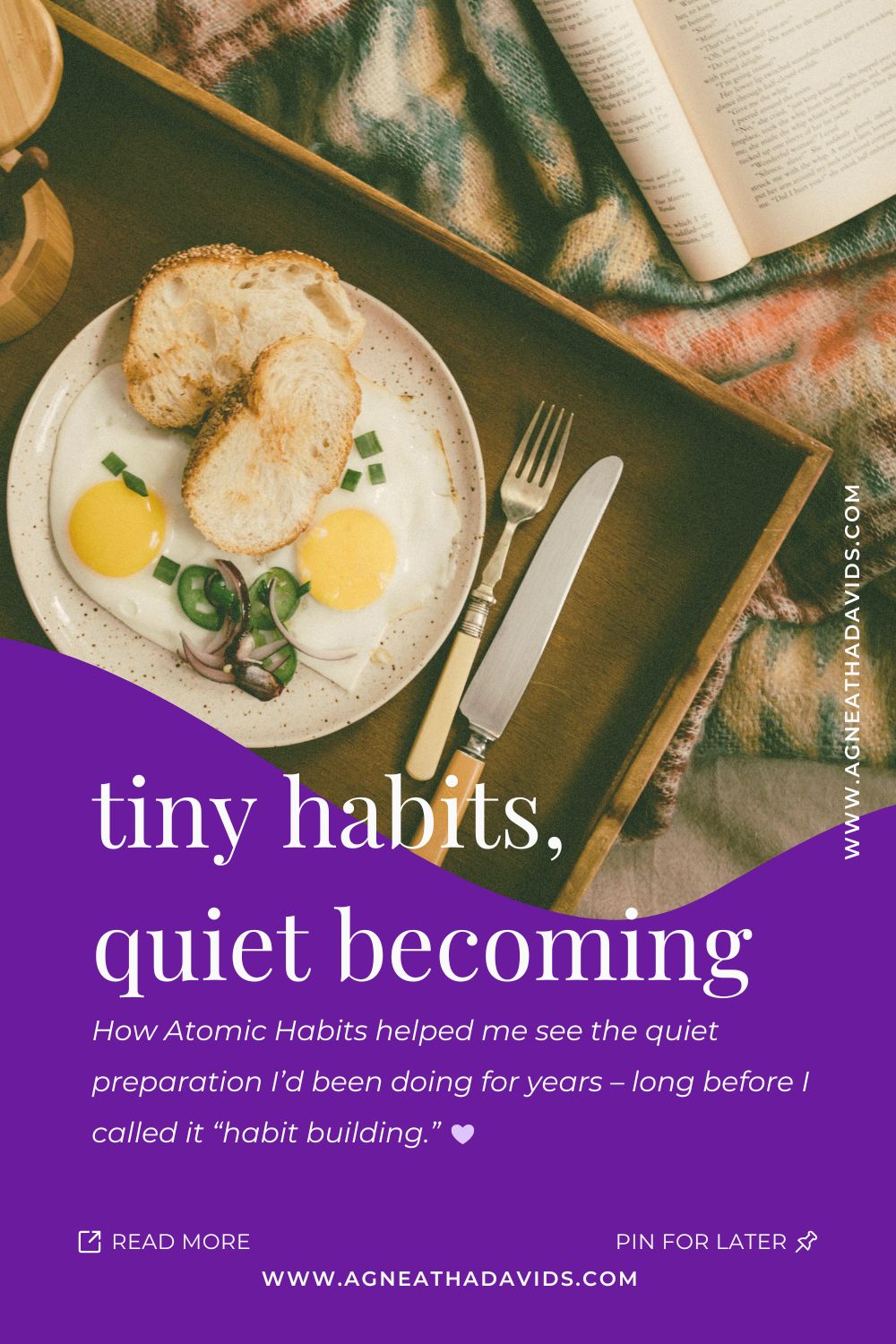 Pinterest graphic for this post